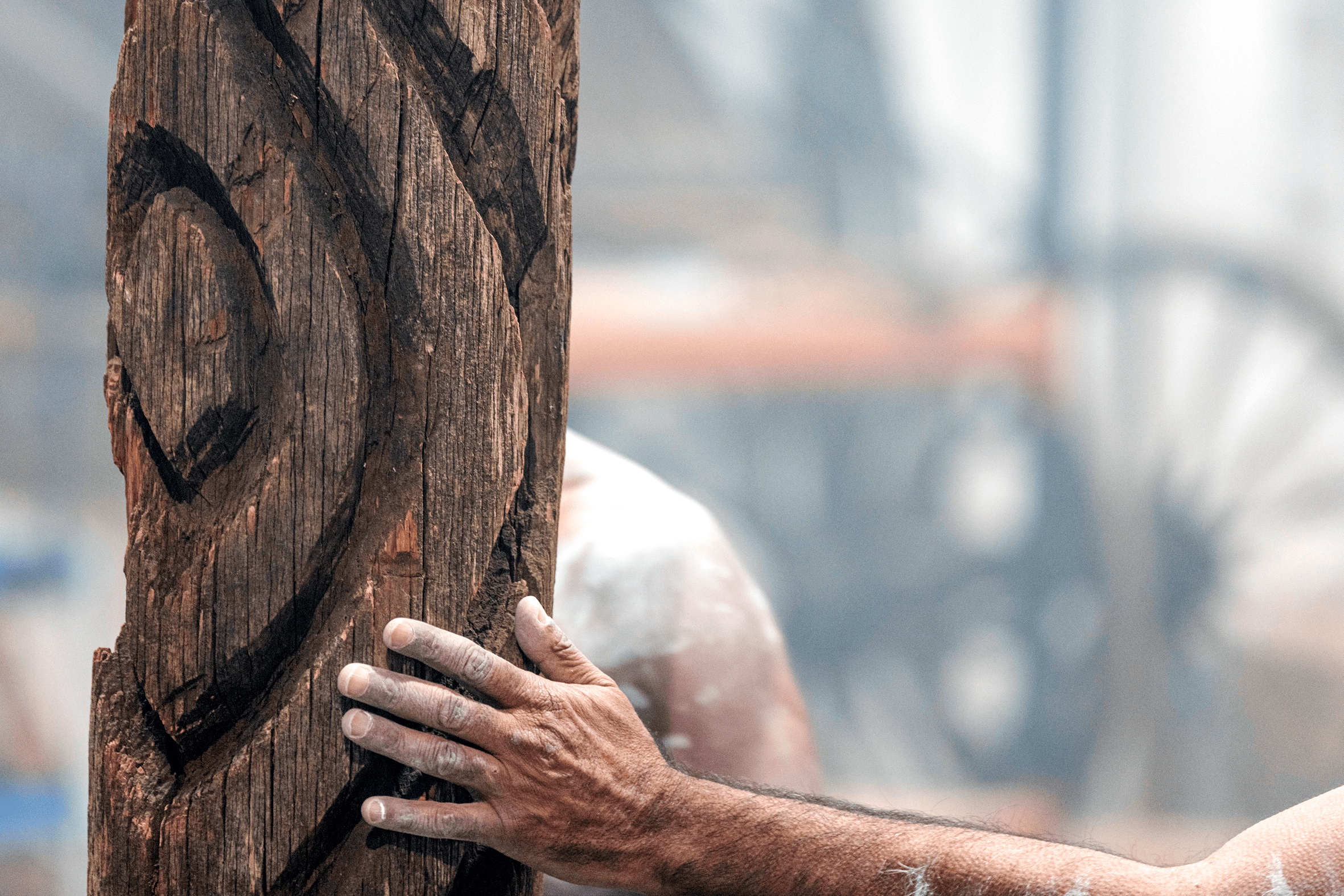 Tree of knowledge: Sacred dhulu’s return to Country carves pathways of understanding