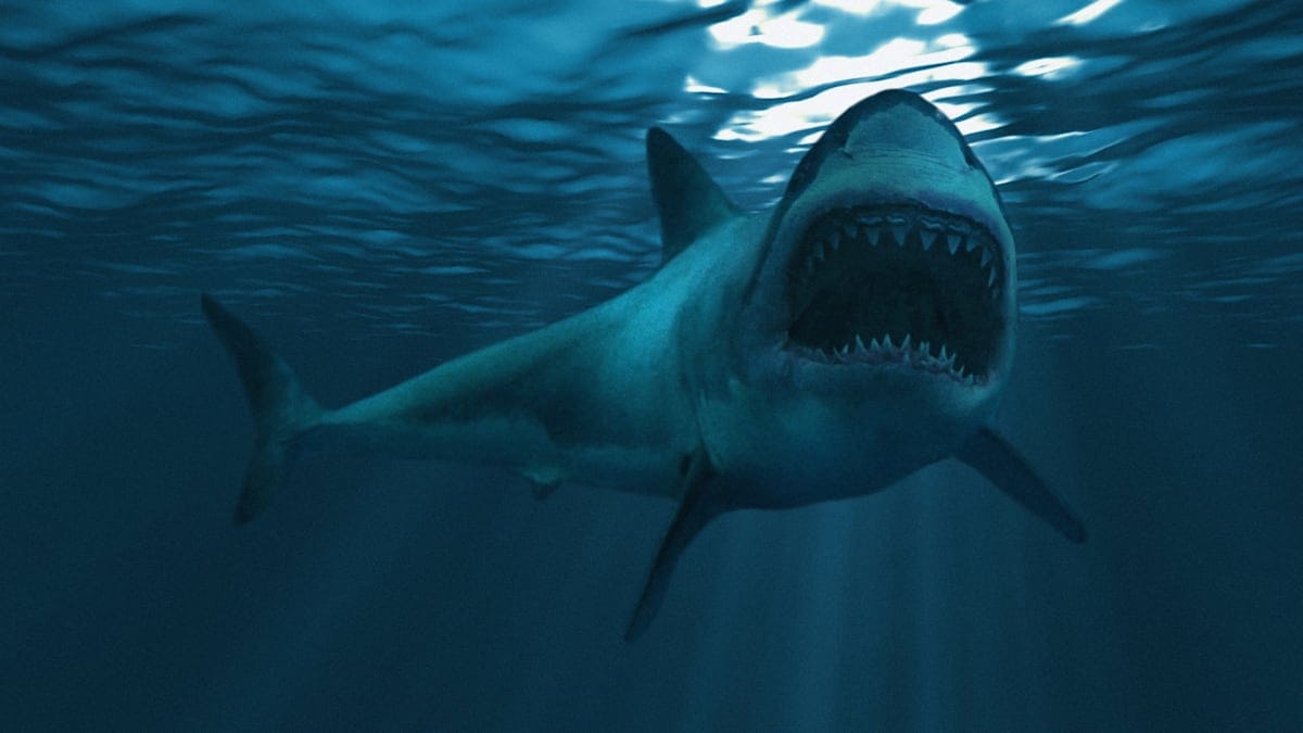 Menacing great white shark underwater, mouth open