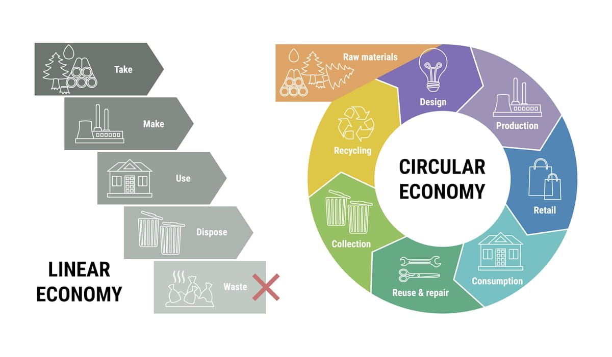 Comparison of linear and circular economy infographic. Scheme of product life cycle from raw material to production, consumption and recycling instead of waste