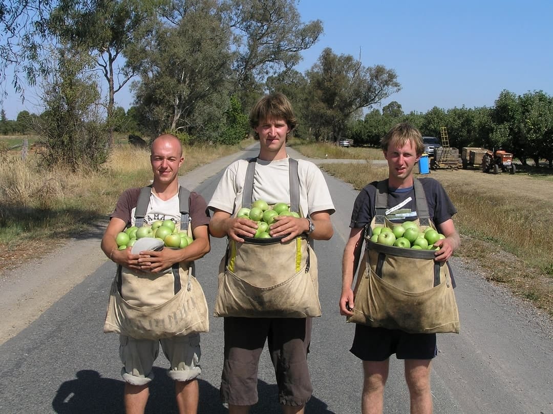Three backpackers on the Australian fruit picking trail