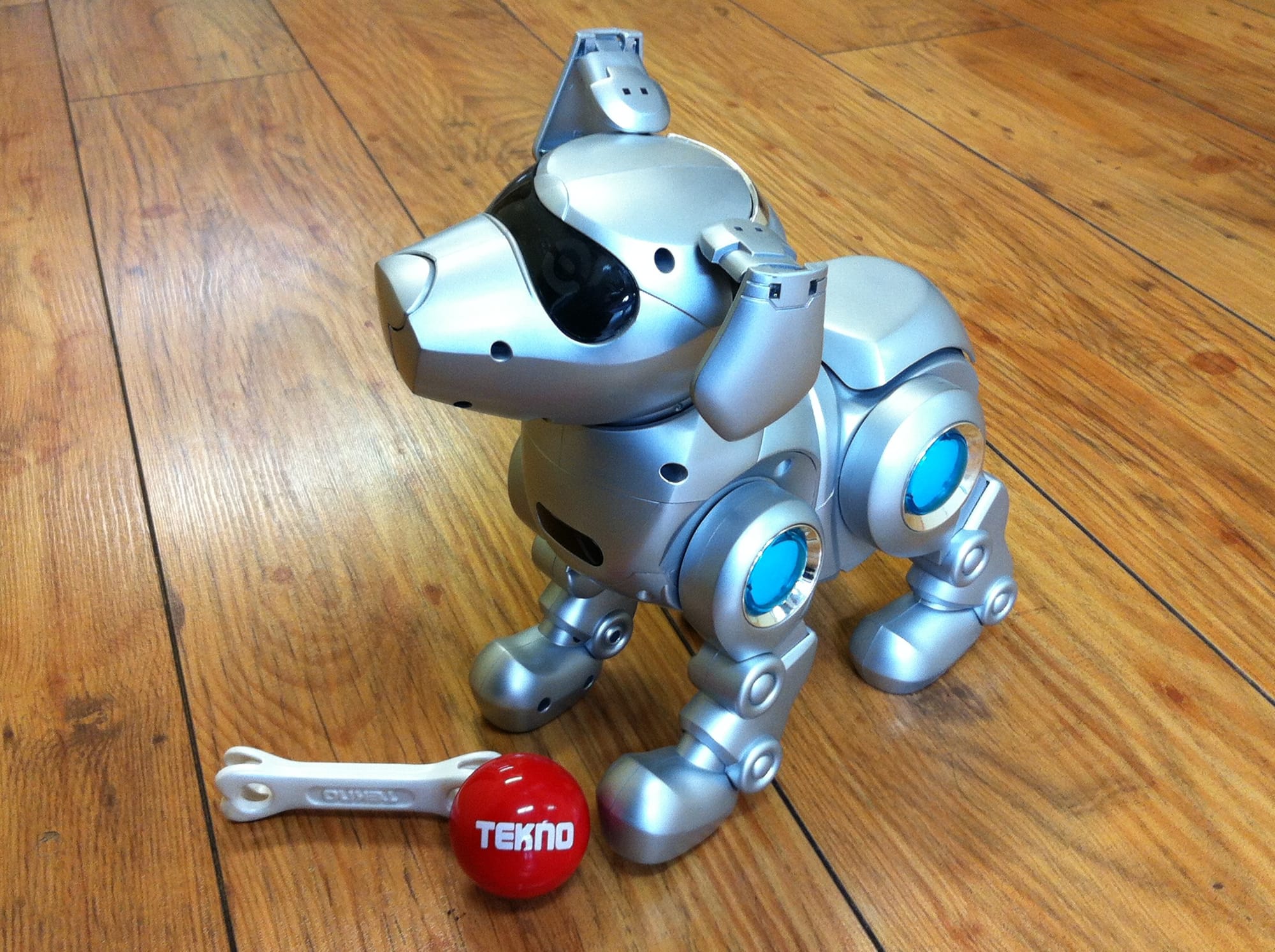 Is it OK to kick a robot dog?
