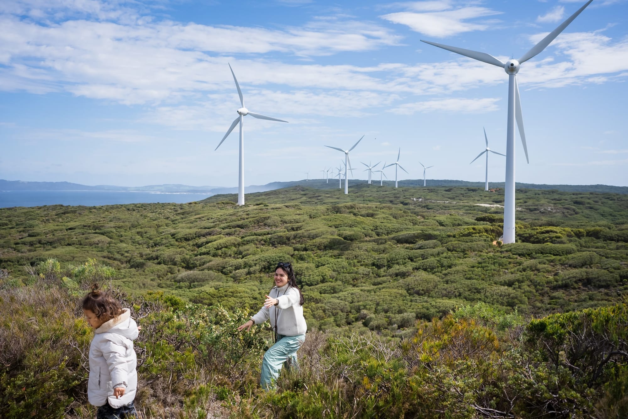 Barnaby Joyce wants Australia to abandon net zero, but his four central claims don’t stack up