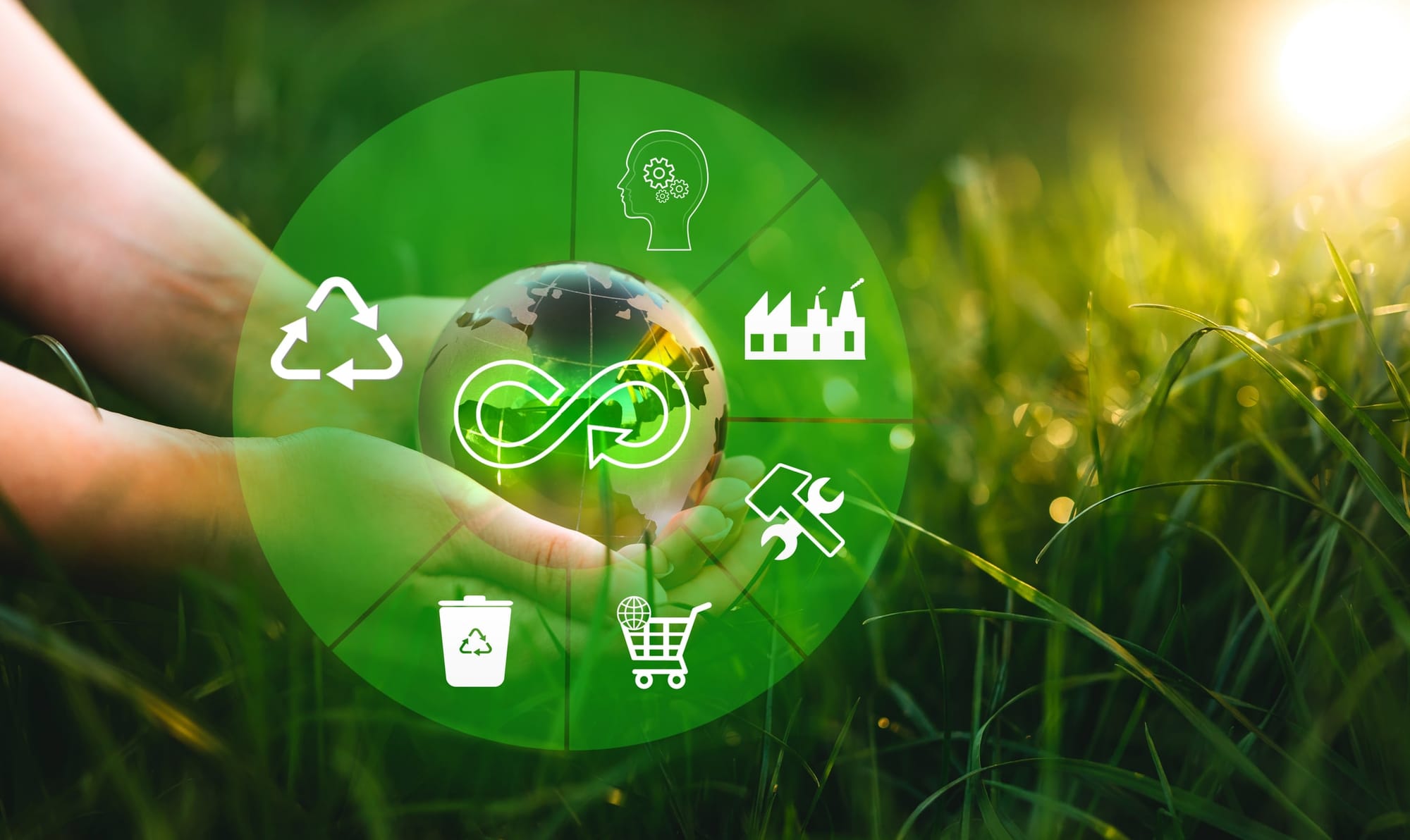 From waste to wealth: The business case for circular economy in Australia