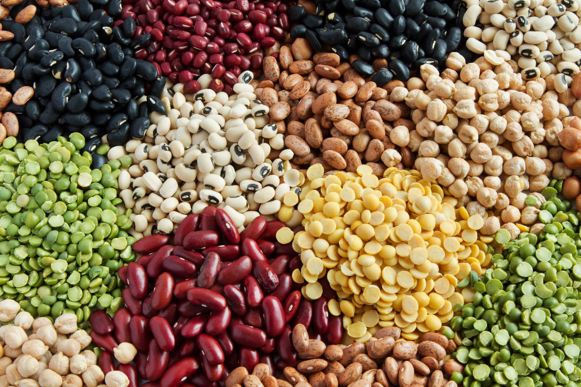 Pulses: The powerhouse crops driving sustainable agriculture