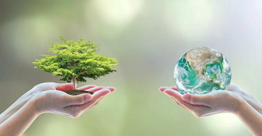 Biodiversity in Australia: Protecting our protected areas