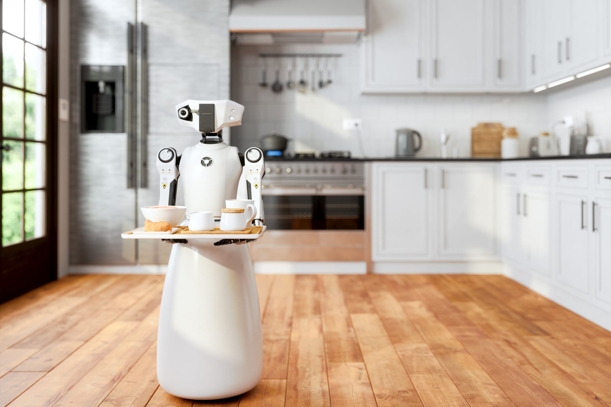 When can I get my new household robot?