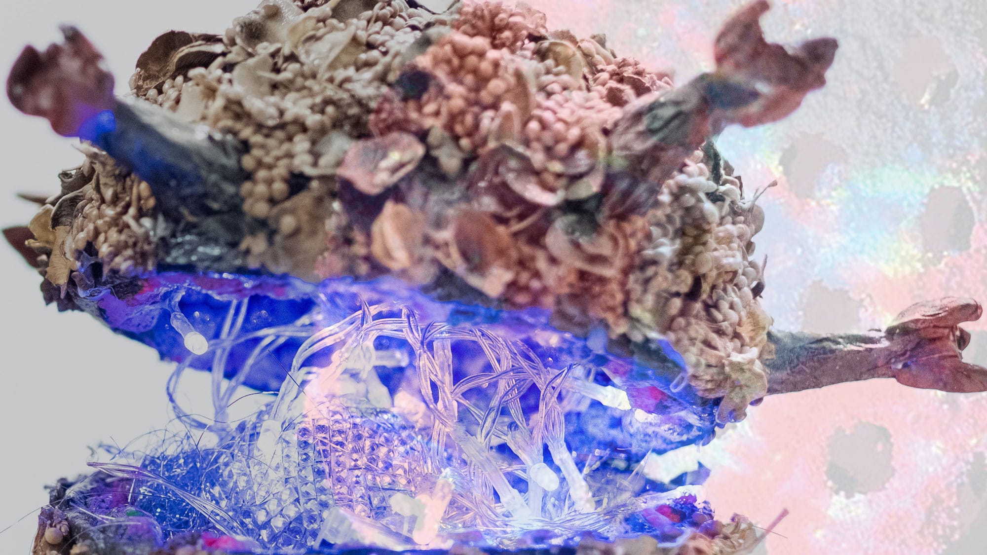 Placing microscopic life into people's hands