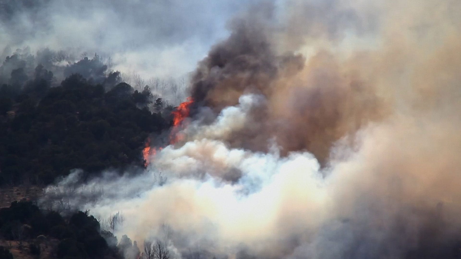 The Australian fires: Understanding the causes and long-term impact of the bushfires.