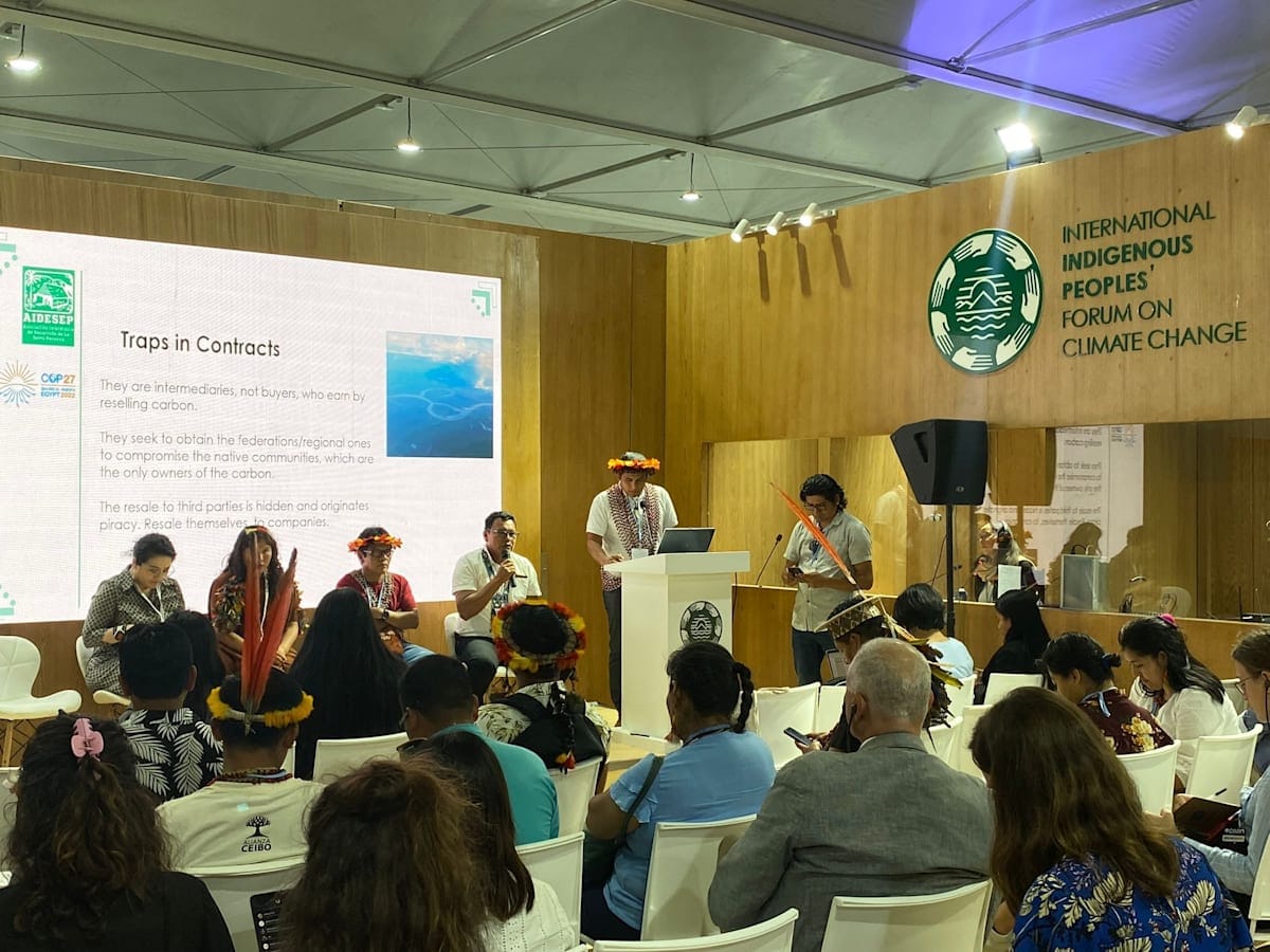 A person addressing the International Indigenous Peoples