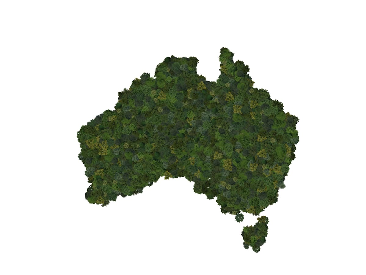 Top view of a forest of trees forming the map of Australia