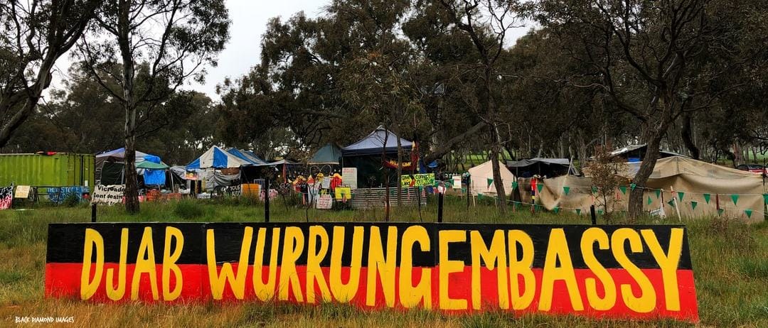 Why documenting Indigenous artefacts made from southeastern Australian trees is important