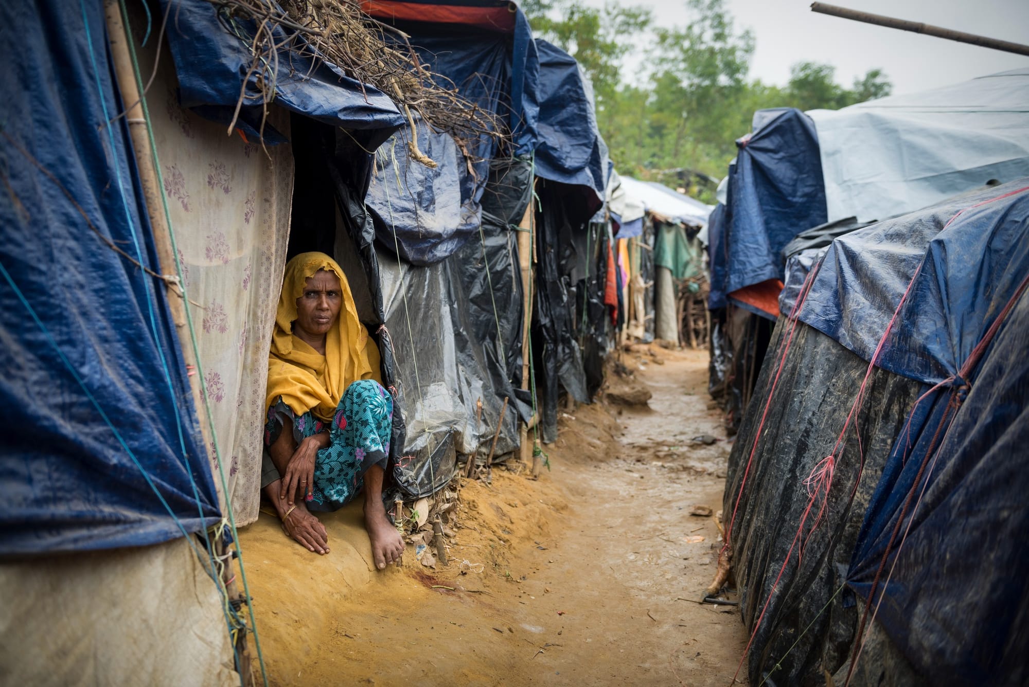 World Refugee Day: Understanding the mental health challenges of refugees