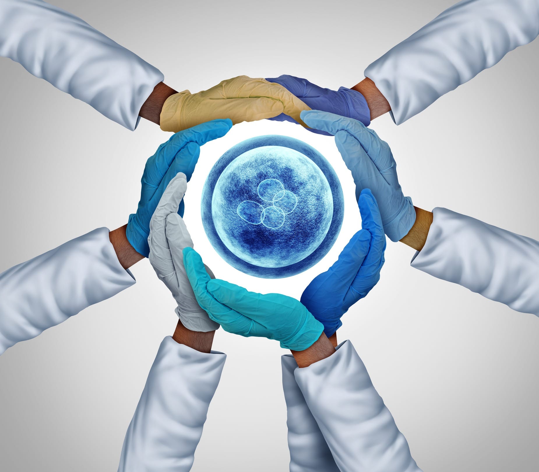 Pigs with human brain cells and biological chips: How lab-grown hybrid lifeforms bamboozle scientific ethics