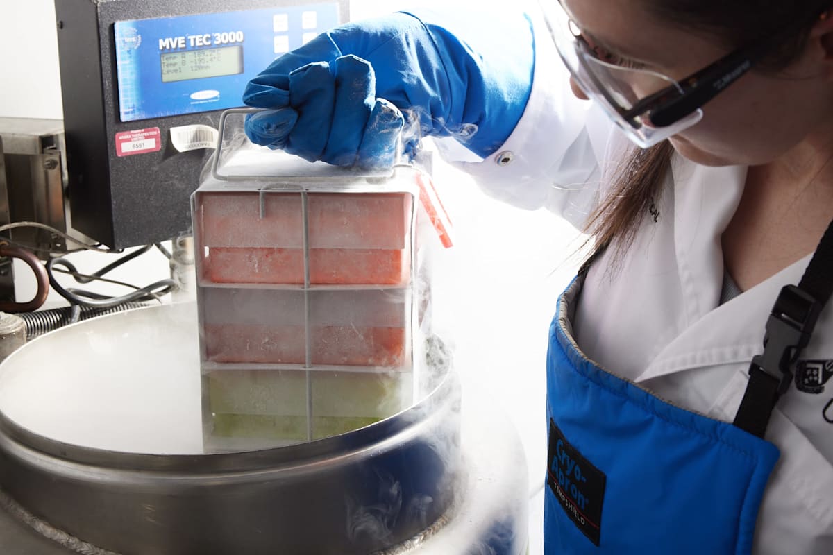 Heavily gloved female scientist holds material above a liquid nitrogen storage container