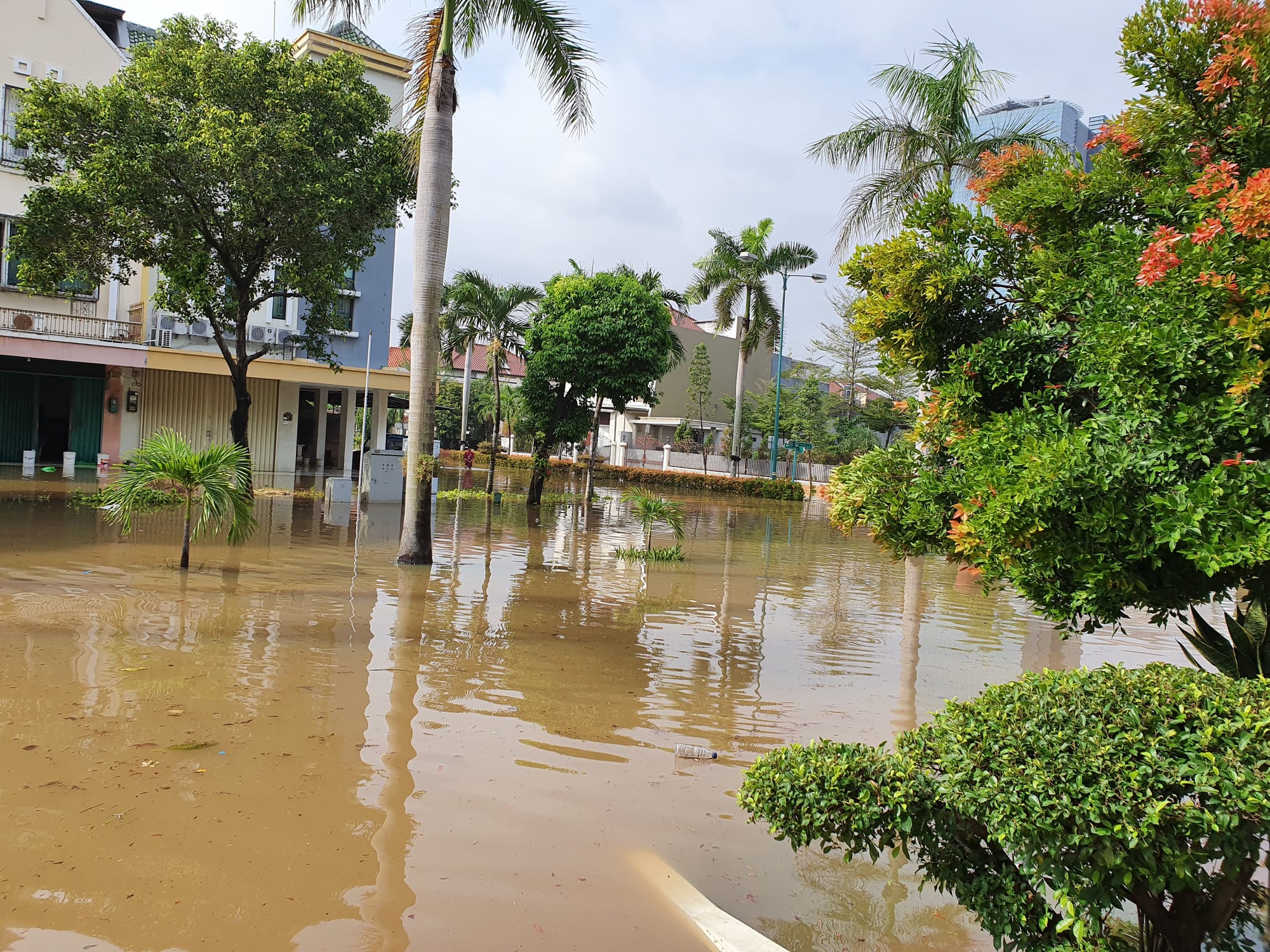 Improving information systems for better disaster response