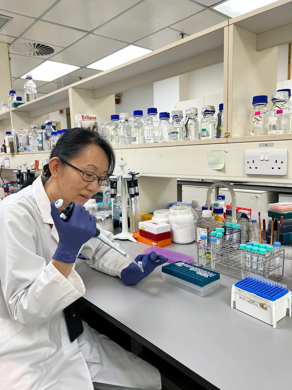 Tomoko Soga in her laboratory. Photo: Author provided
