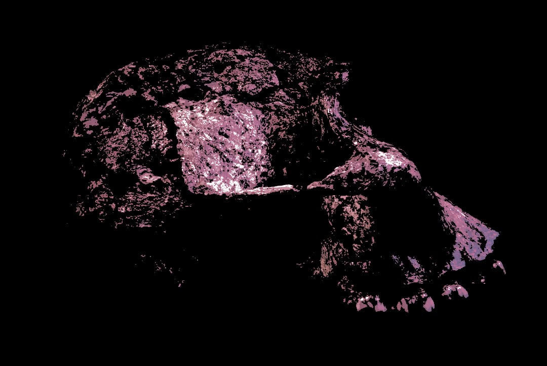 A Matter Of Time - What Happens Next? podcast on exploring our history