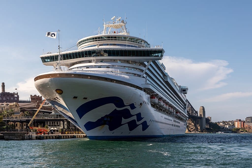 Not drowning, waving: Where to for cruise tourism post-COVID-19?