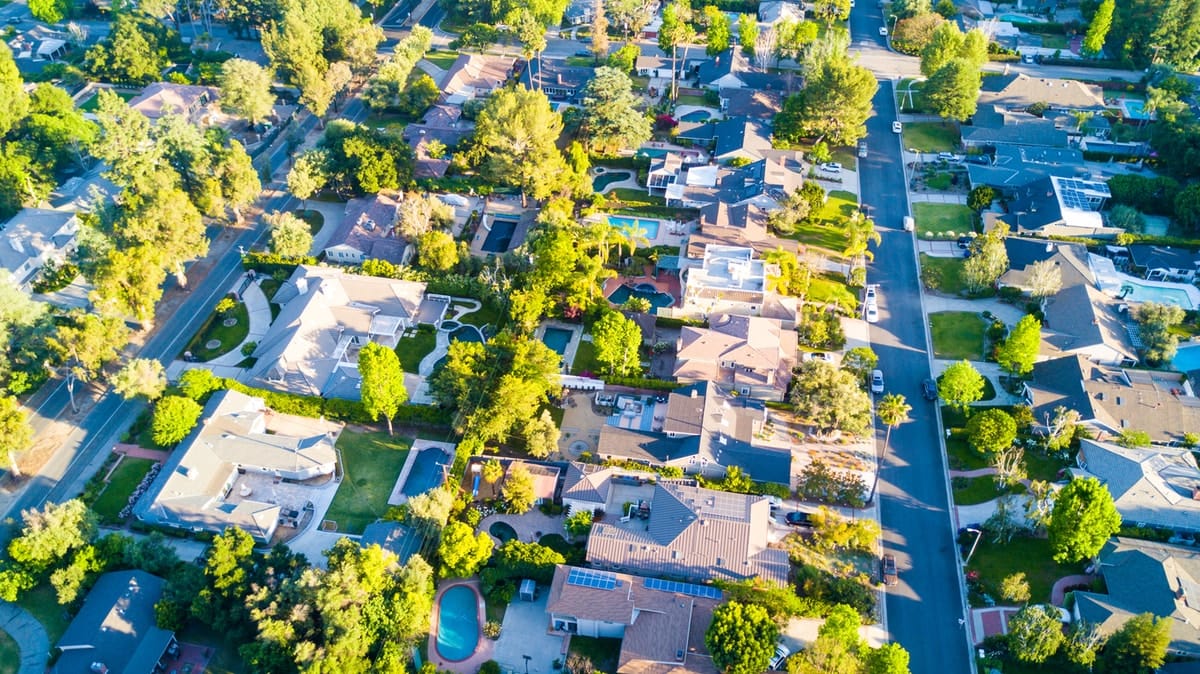 With our cities getting hotter, it’s time for a radical tree change