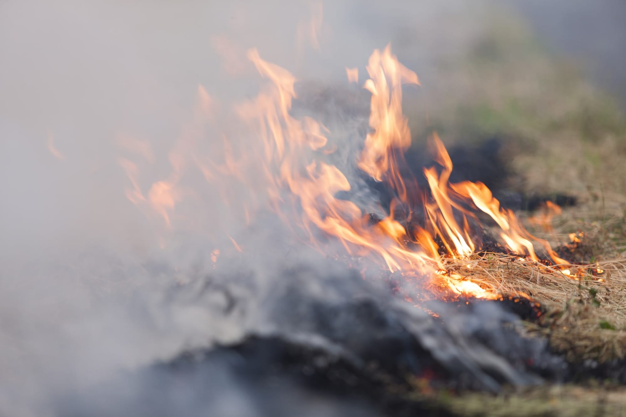 Indigenous science can help solve some of the great problems of our time