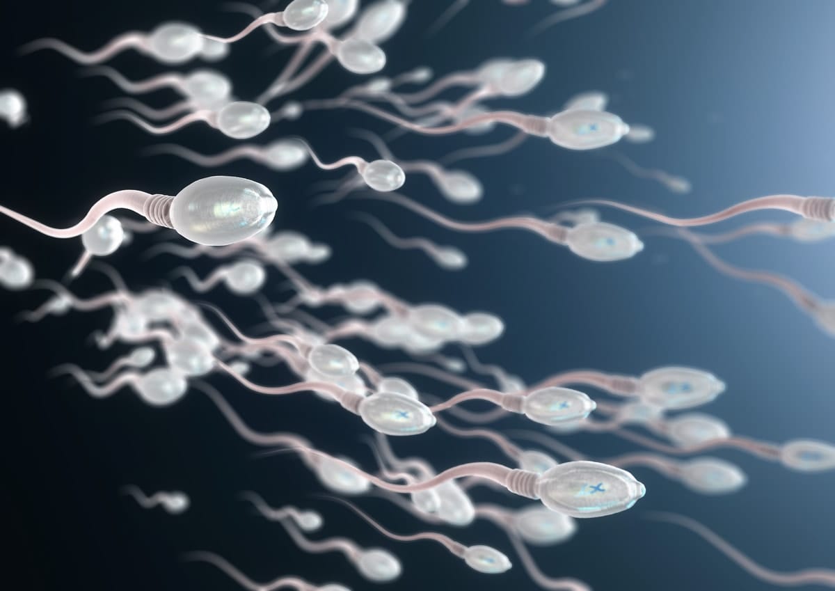 Going swimmingly: Sperm breakthrough offers new fertility hope