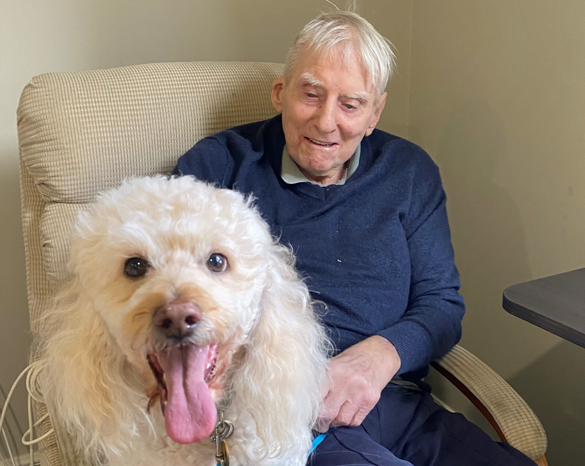 Can pets help cure loneliness? New research plans to find out