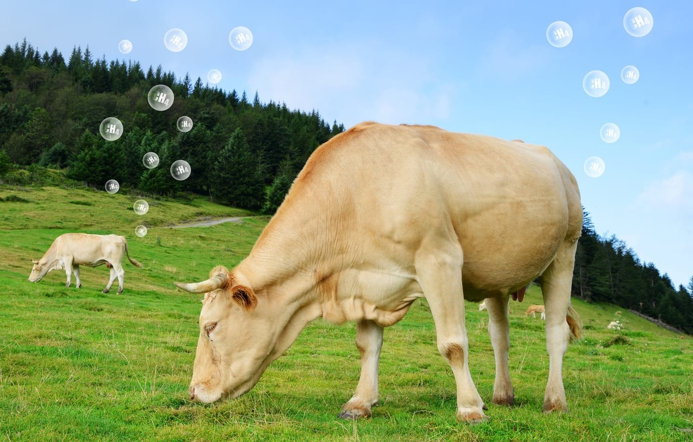 COP27: Making methane climate-friendly isn’t just all hot air