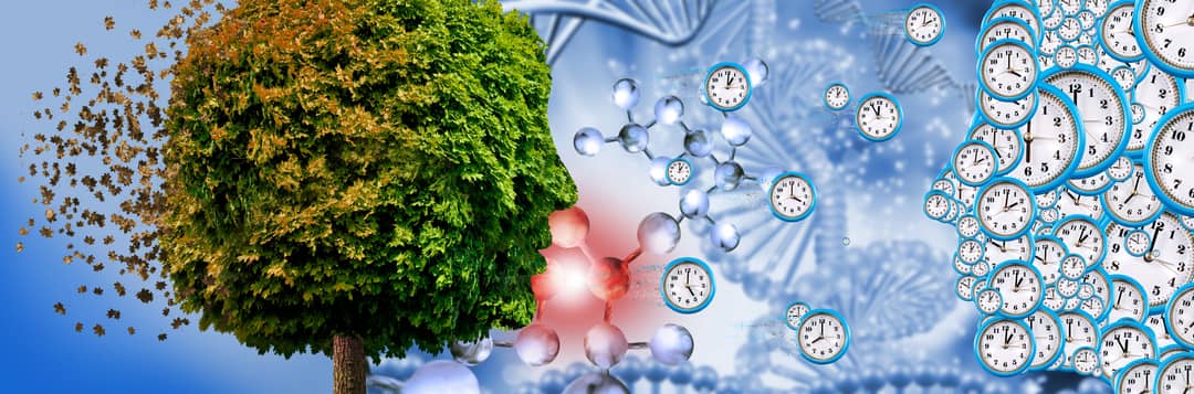 Is greenery the secret to slowing the biological ageing process?
