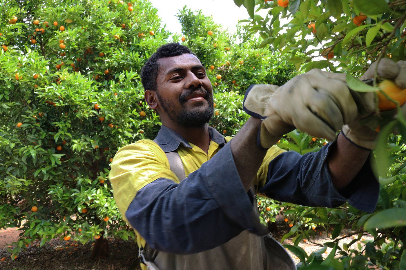 Mobile workers are key to Pacific prosperity
