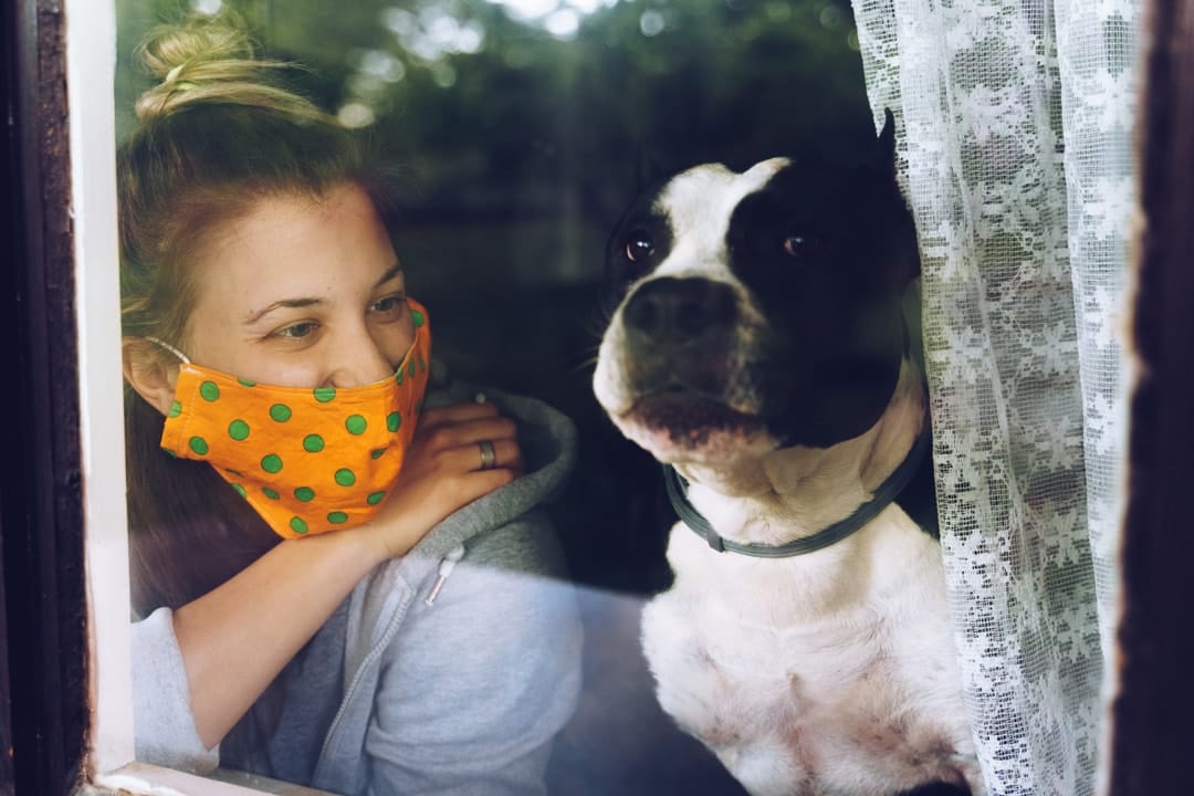 Explaining cats and dogs: The benefits of pet ownership to alleviate loneliness during COVID-19