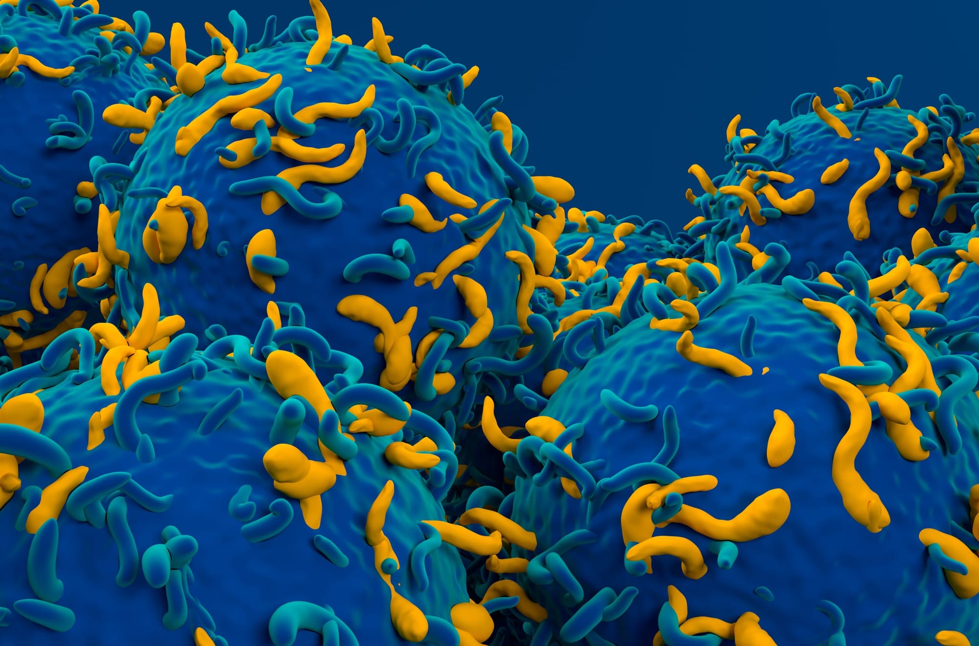 T cell breakthrough a step towards personalised medicine to prevent disease