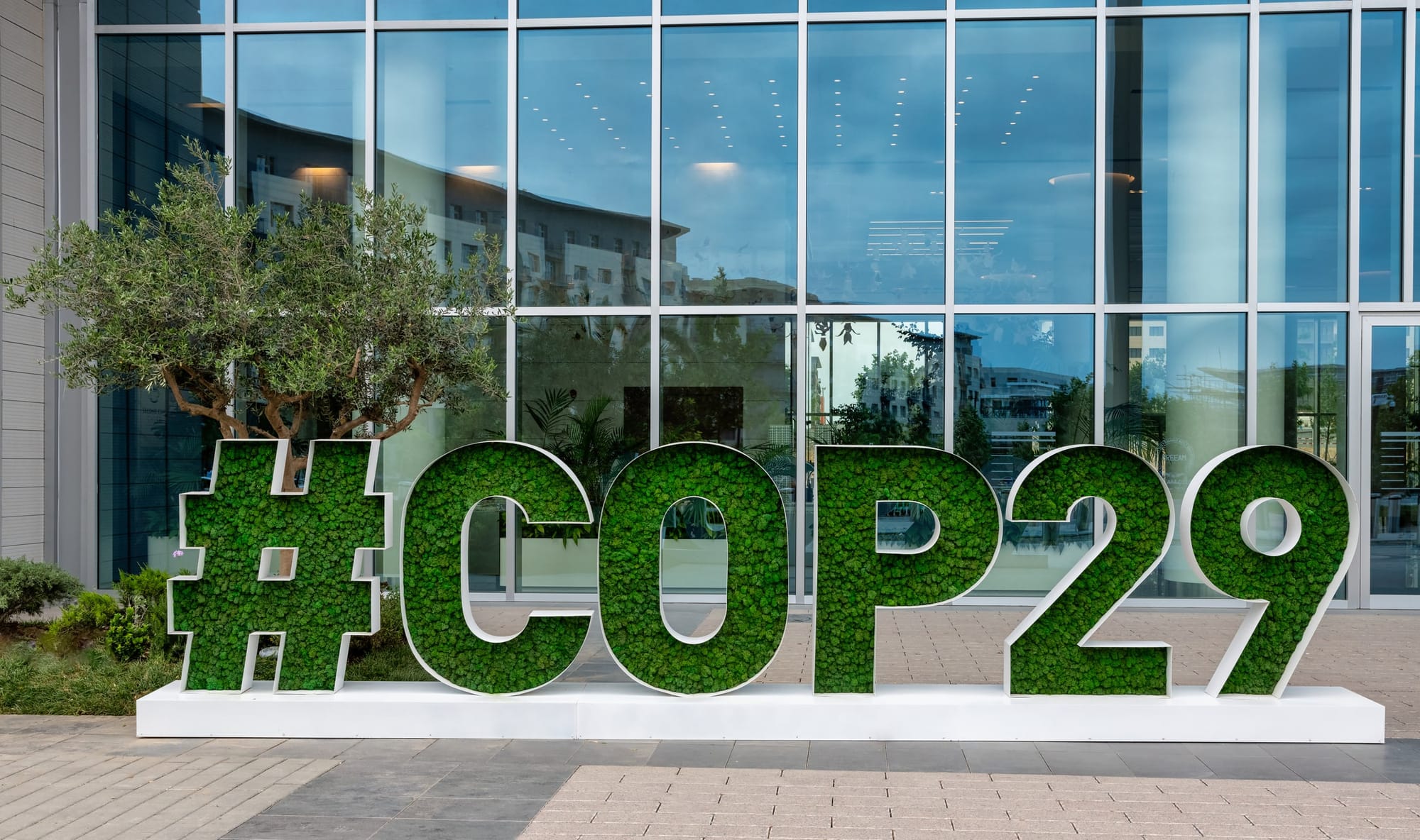 Still waiting: Environmental justice and climate funding at COP29