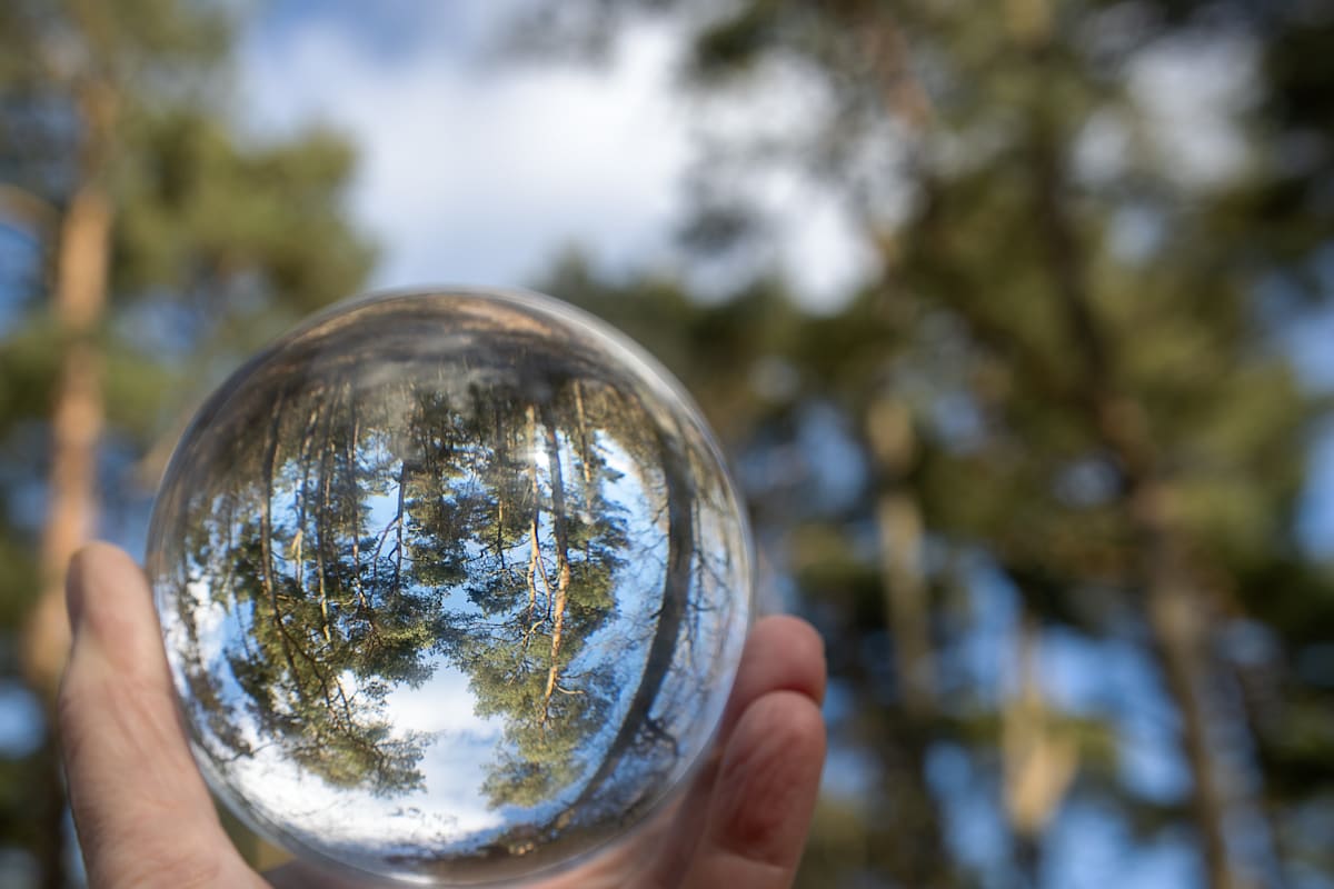 A crystal ball held by a hand in a forest, with trees reflected inside
