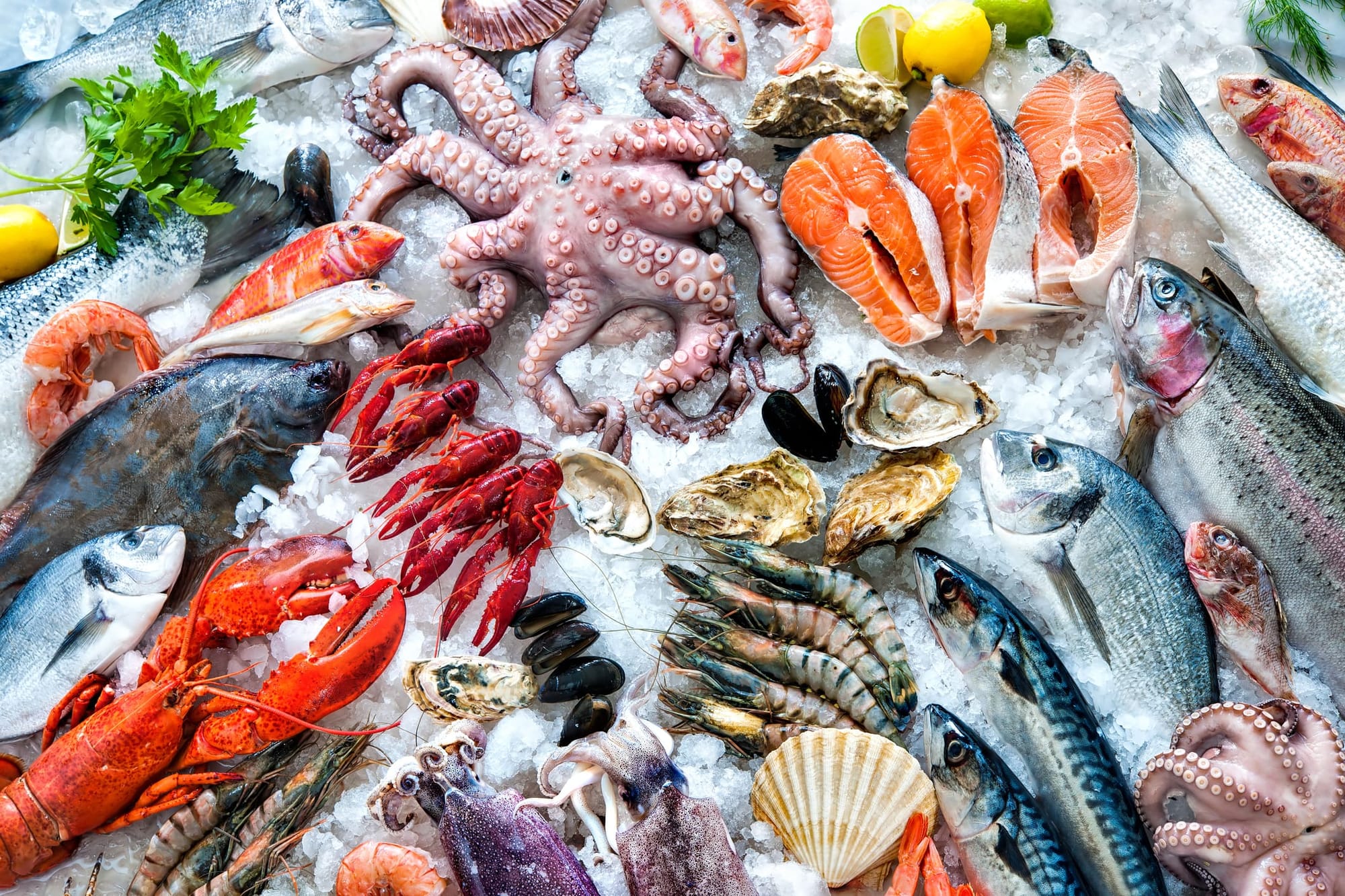 Wild-caught seafood is often untraceable – and some industry players don’t want that to change
