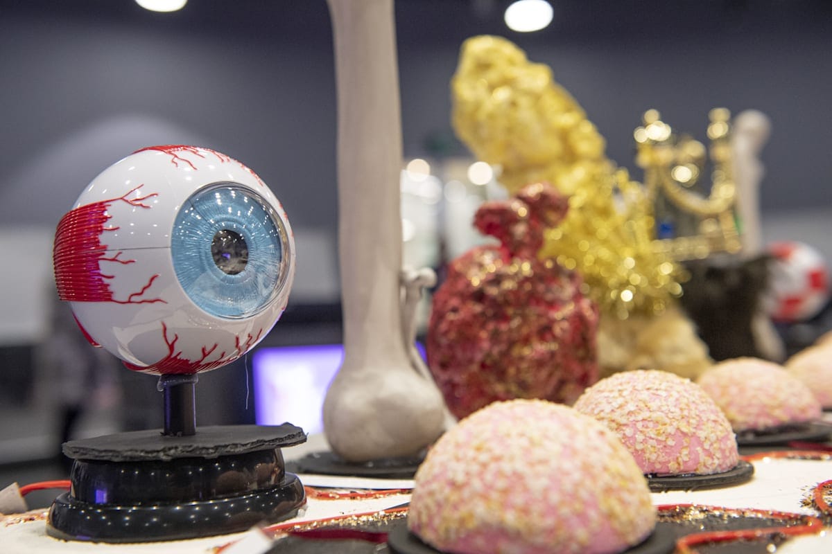 Exhibits including a model eye at the Monash Sensory Science exhibition in 2023