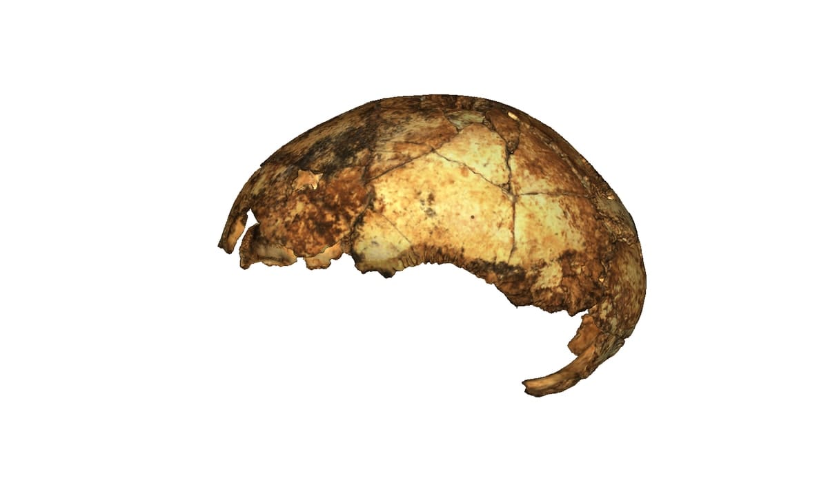 In a South African cave, another piece in the puzzle of human evolution