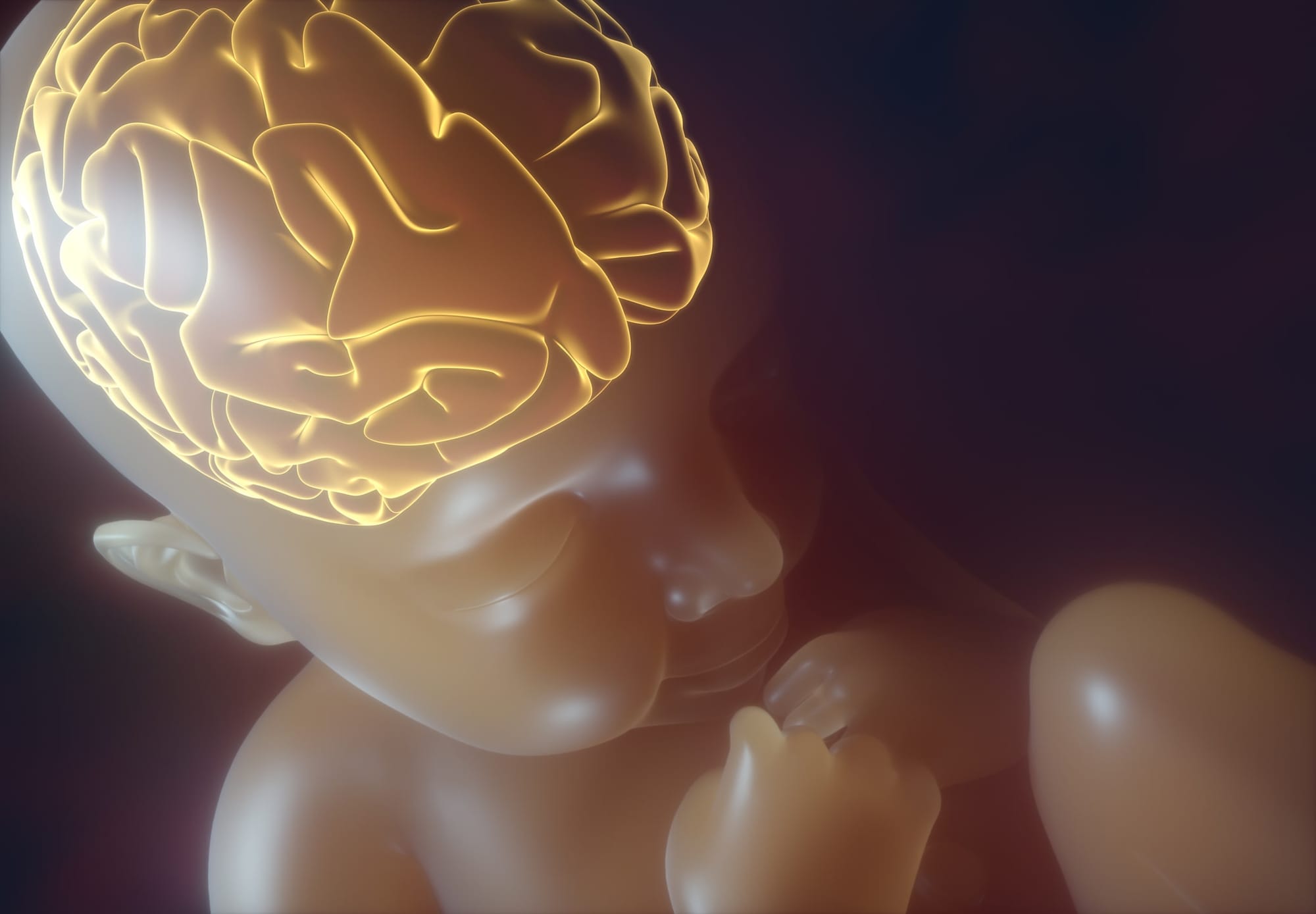 Tiny brains, big science: Advancing neuroprotection for pre-term babies