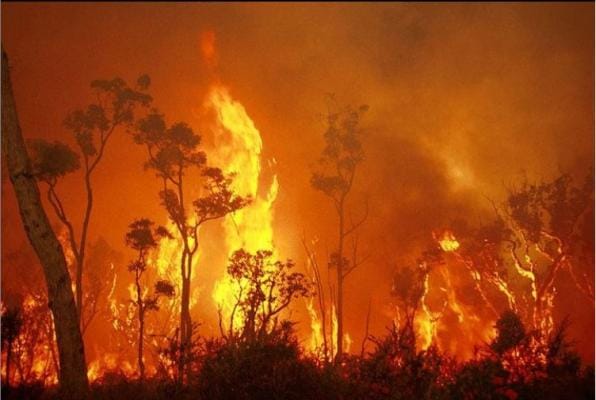 Scott Morrison's biggest failure in the bushfire crisis: an inability to deliver collective action