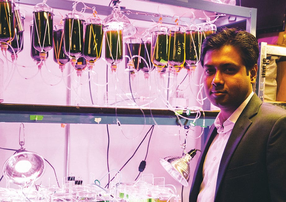 The promise of stem cell therapy for repairing the brain