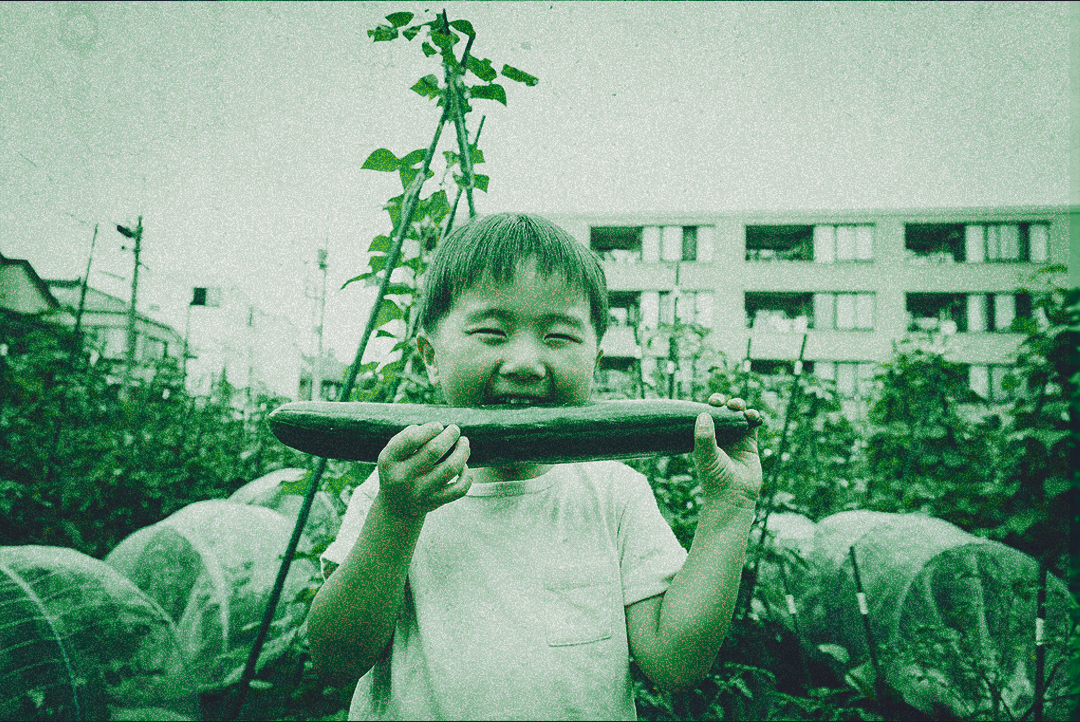 ‘What Happens Next?’: Can We Take a Bite Out of Food Insecurity?