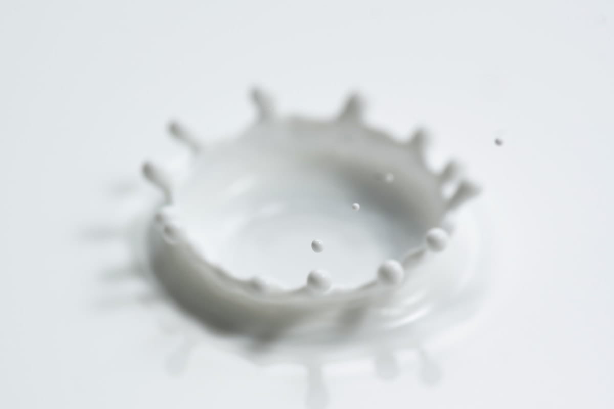 Unravelling the magic of milk to improve human health