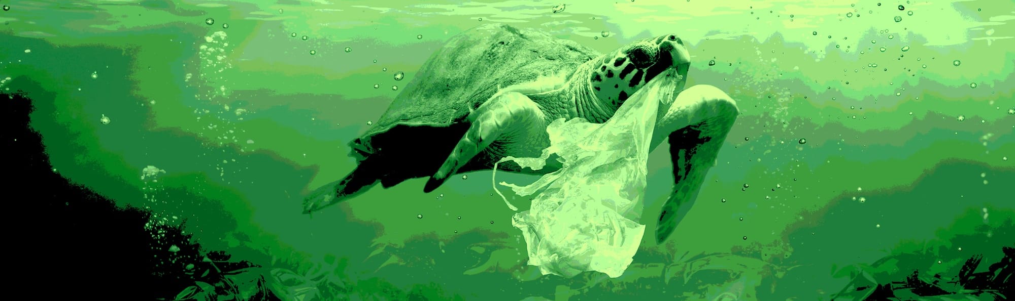 ‘What Happens Next?’: Trash Talk – Are We Facing a Global Waste Crisis?