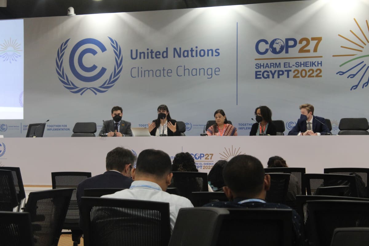 Panellists at the COP27 meeeting