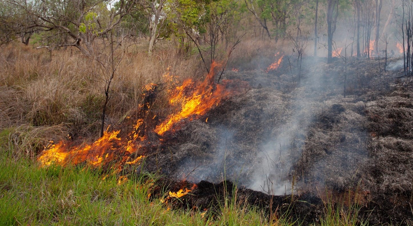 Cultural burning isn’t just important to Indigenous culture – it’s essential to Australia’s disaster management