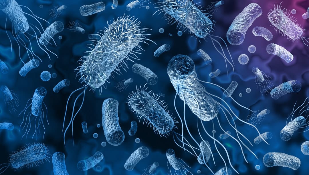 Superbugs: The health threat that has failed to capture public attention