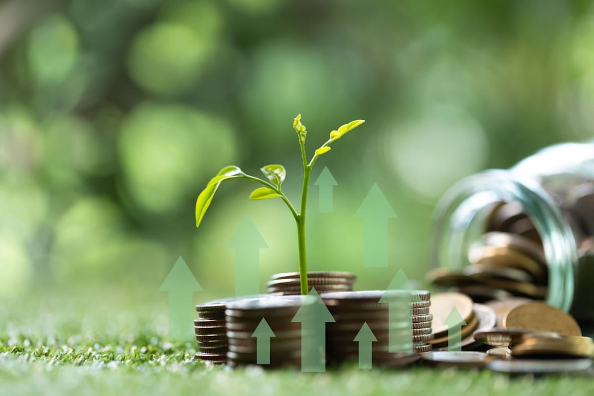 A seedlin growing on a pile of coins, the concept of green finance flourishing, businesses investing money and coins into sustainable ventures