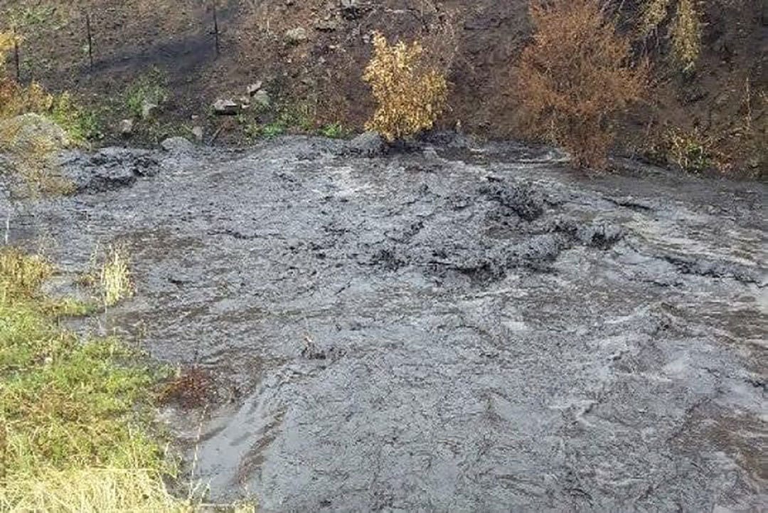 Black water: Ash choked the Tambo River in East Gippsland after the bushfires.
