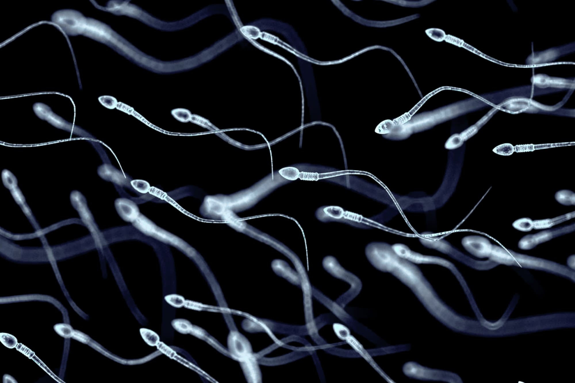 Male infertility is more common than you may think. Here are five ways to protect your sperm