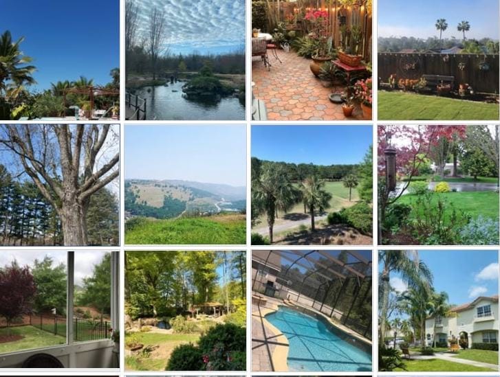 View from my window: Sharing lockdown in pictures