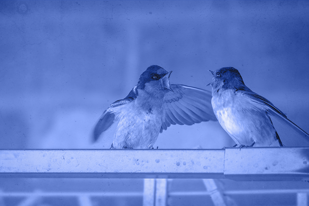 ‘What Happens Next?’: Are We Getting More Rude?